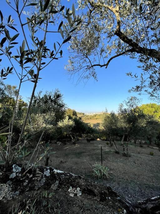 Villa Maria, Casa Rural En Cazalla De La Sierra. エクステリア 写真